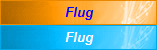 Flug